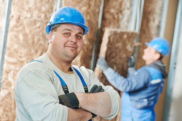 Best Residential Insulation in Port Isabel, TX